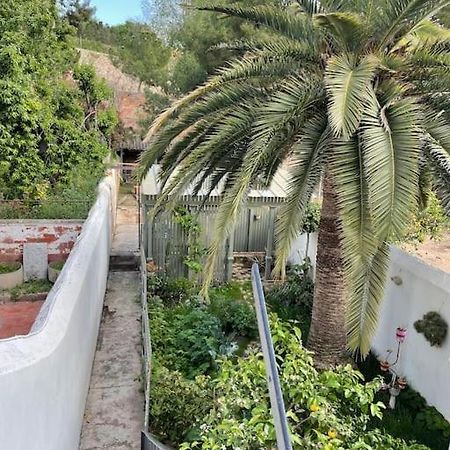 Apartmán Piso Super Luminoso En El Centro Tarragona Exteriér fotografie